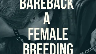 You bareback a female BREEDING slut!