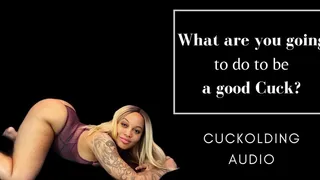 What are you going to do to be a good Cuck?