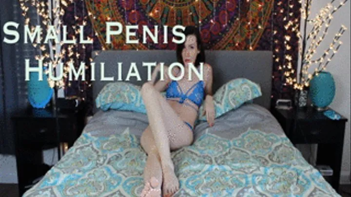 Small Penis Humiliation