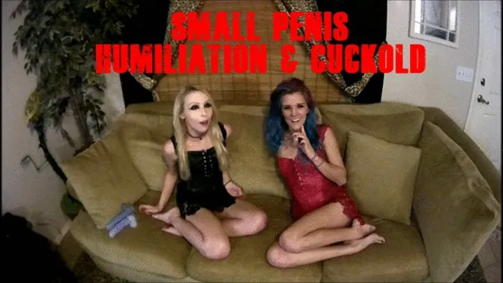 SMALL PENIS HUMILIATION XXX