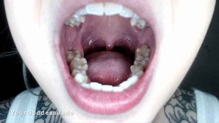 Inside My Mouth #3