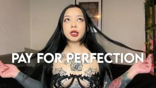 Pay For Perfection - Findom