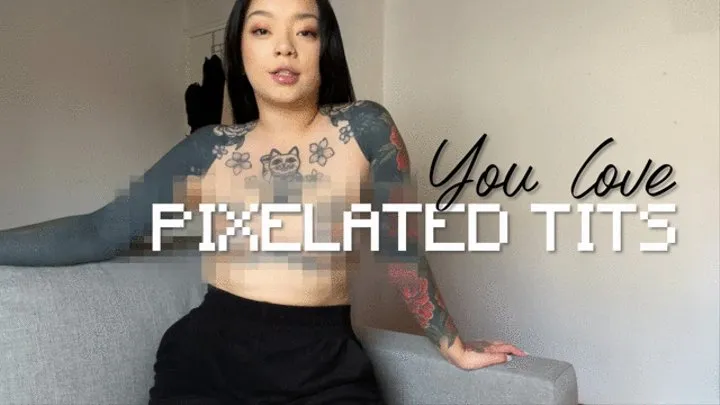 YOU LOVE PIXELATED TITS