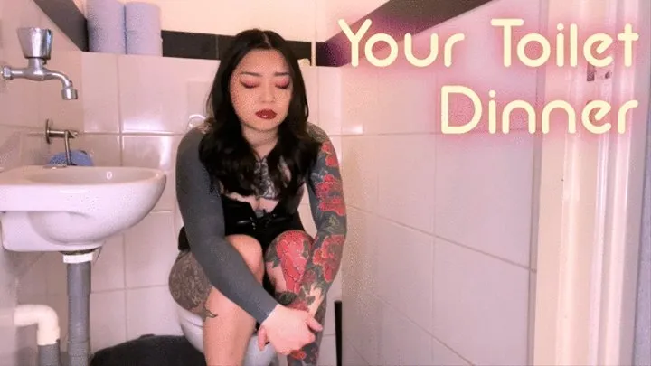 Your Toilet Dinner 3