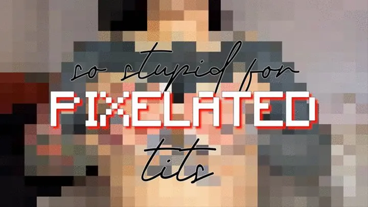 So Stupid For Pixelated Tits