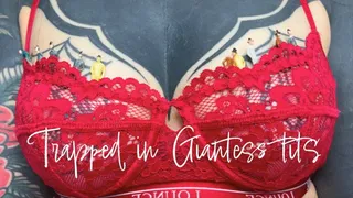 Trapped In Giantess Tits