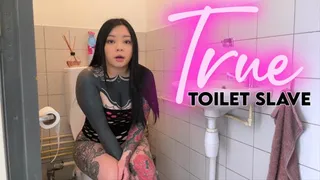 True Toilet Slave