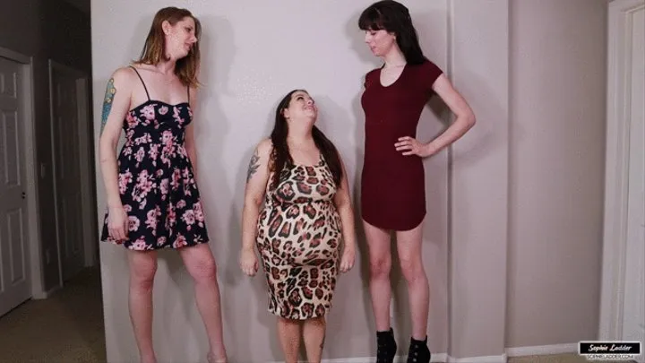 Height Humiliation Tall Girls Short Girl Trans and BBW