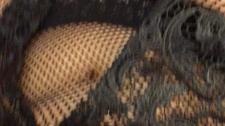 Ultimate Fishnets Teasing