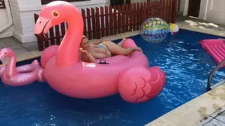 Bouncing my tits on a flamingo in the pool