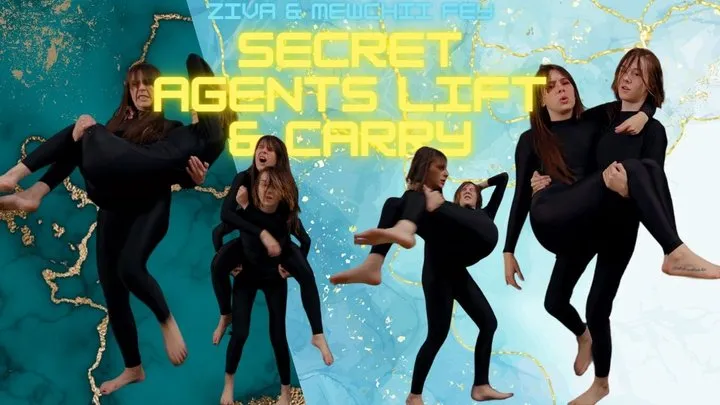 Ziva Fey And Mewchii Fey - Secret Agents Lift And Carry CUSTOM