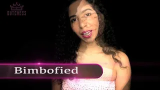 Bimbofied