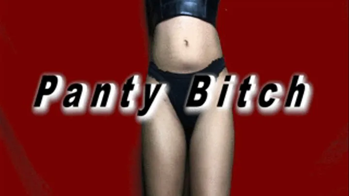 Panty Bitch