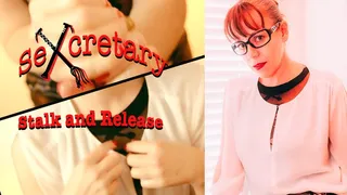Sexcretary - Stalk and Release