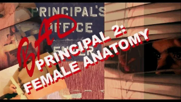 Bad Principal 2 - Voyeur Studies