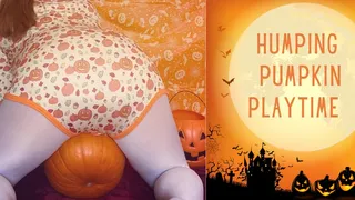 Humping Pumpkin Playtime