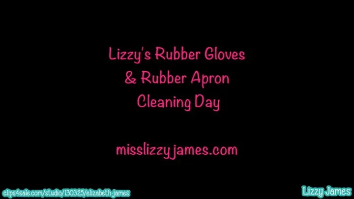 Rubber Apron and Rubber Gloves Cleaning