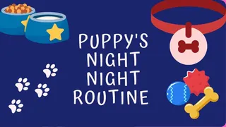 Puppy's Nighttime Routine