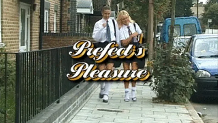 Prefects Pleasures part 1