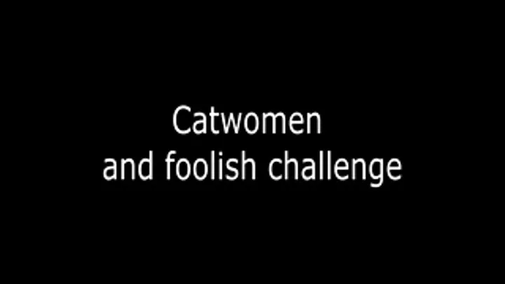 Catwomen and foolish challenge.