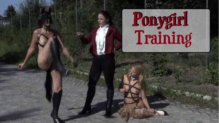 Ponygirl Training