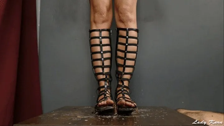 Doormat! I have something special for you! - close view 1 (Gladiator Sandals &amp;amp; Dirty Feet)