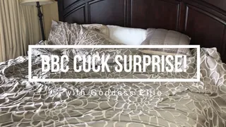 BBC Cuck Surprise!