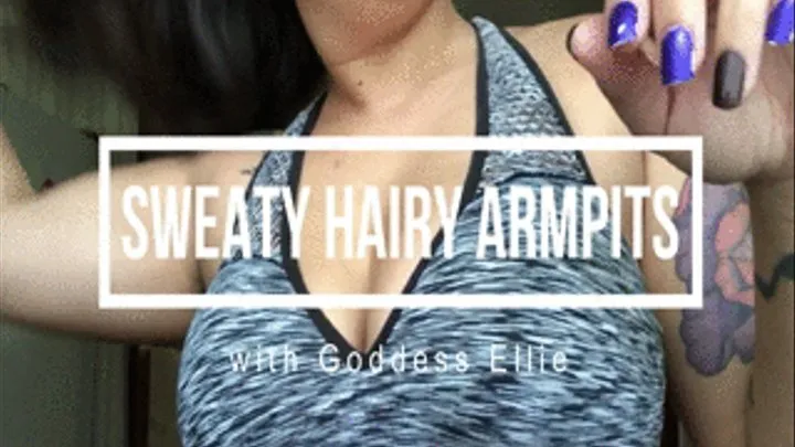 Sweaty Hairy Armpits