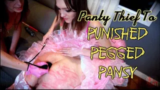Panty Thief To Punished, Pegged Pansy