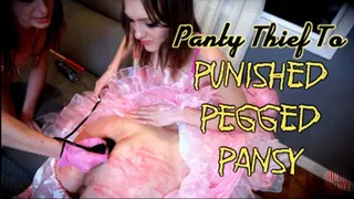 Panty Thief To Punished, Pegged Pansy