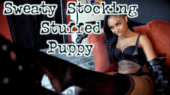 Sweaty Stocking Stuffed Puppy