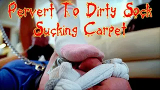 Pervert To Dirty Sock Sucking Carpet