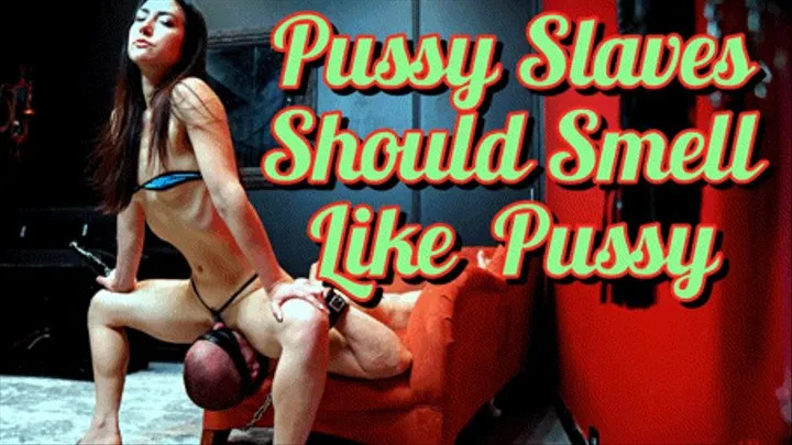 Pussy Slaves Should Smell Like Pussy