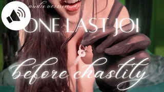 AUDIO VERSION last joi before chastity