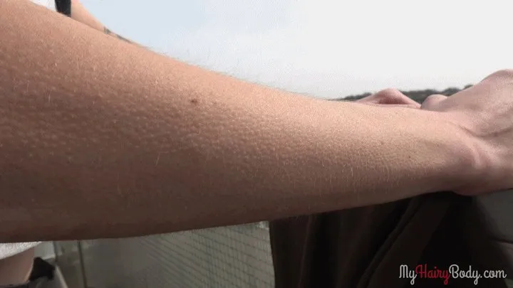 Hairy arms of Nicole