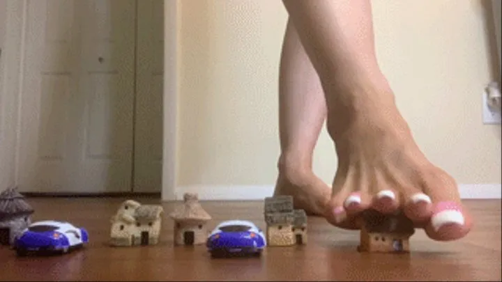 Giantess Destroys Village with her Toes