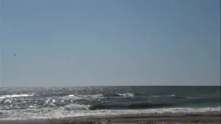 Slutty MILF suck cock on a public beach.