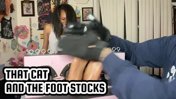 THAT CAT AND THE FOOT STOCKS