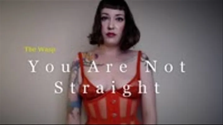 You Are Not Straight