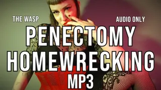 Penectomy Homewreck MP3