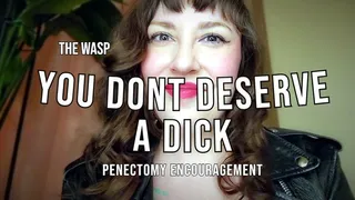 You Don't Deserve a Dick