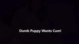 Dumb Gamer Puppy Girl wants your Cum