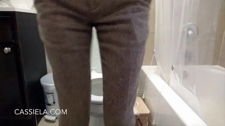 Fast, Desperate Runny Toilet Sounds + Wiping