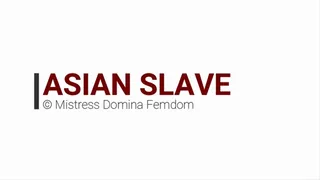 ASIAN SLAVE