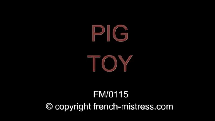 THE PIG TOY