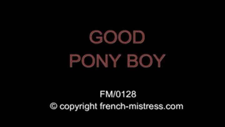 A GOOD PONY BOY