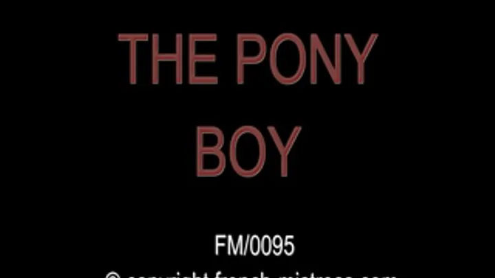The pony boy