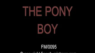 The pony boy