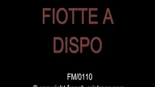 Fiotte available