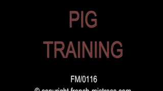 Pig training